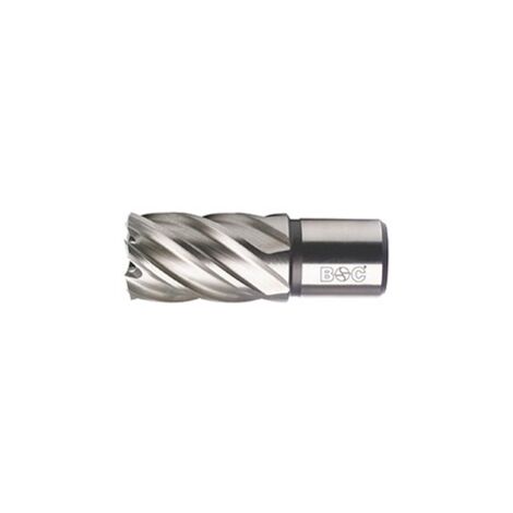Mèche creuse HSS Weldon // 22,0 x 30 mm BC-QP  Engins de forage 19500302225