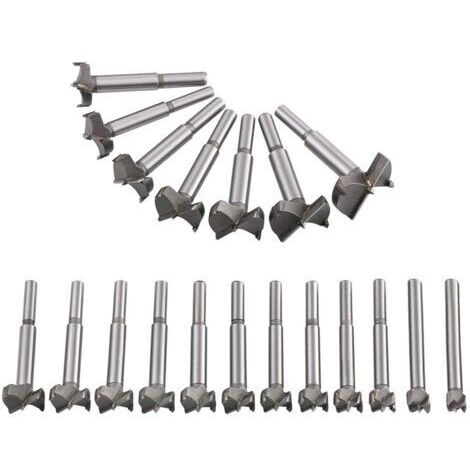 Mèches Bois 19PCS (10MM - 40MM) Fraise Carbure, L'installation de Portes Sphériques, Tiroirs, Mèches à Façonner Foret pour Faire Des Trous Propres à Fond Plat Dans Le Bois