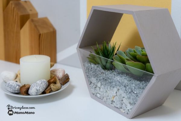PflanzenTerrarium selber machen So geht's