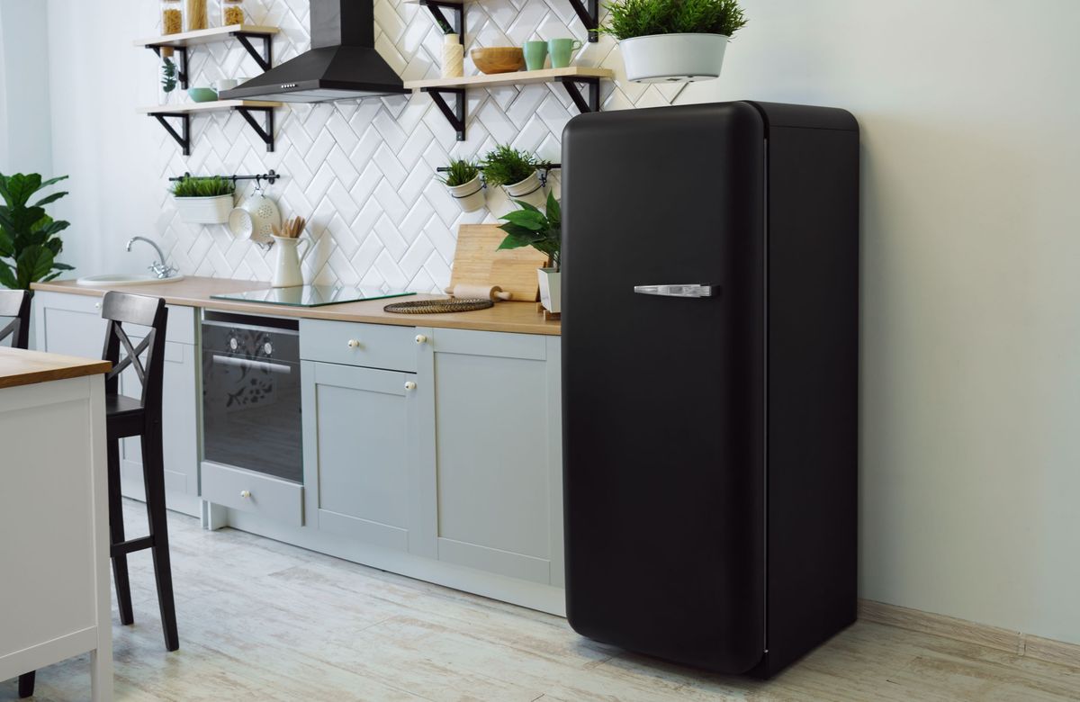 Fridge buying guide