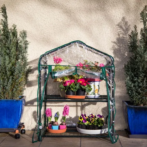 Cómo elegir un mini invernadero