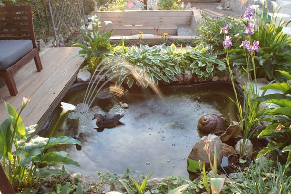 Gartenteich gestalten So geht's