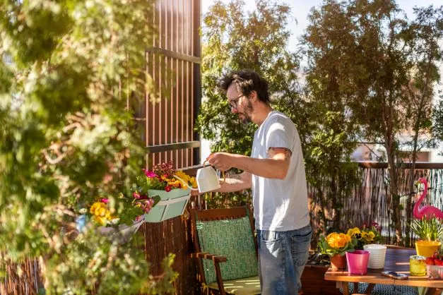Come scegliere delle piante per nascondere il balcone