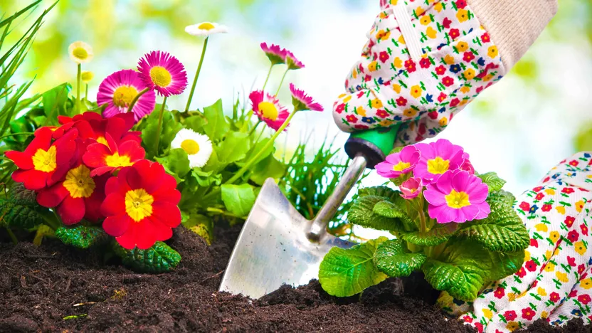 Quelles fleurs planter en mars