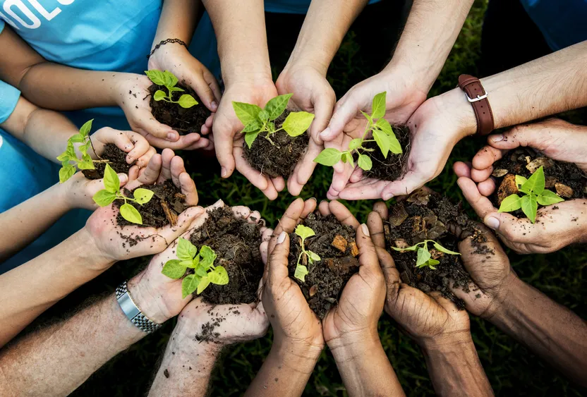 ¿Cómo proteger el huerto de manera ecológica?