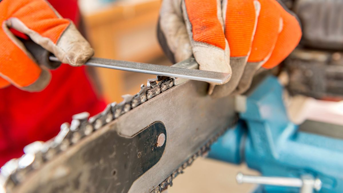 affilare catena motosega con affilatrice elettrica