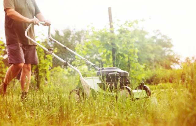 Comment choisir sa tondeuse à gazon 