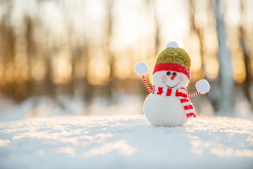 Diciembre en casa y en el jardín