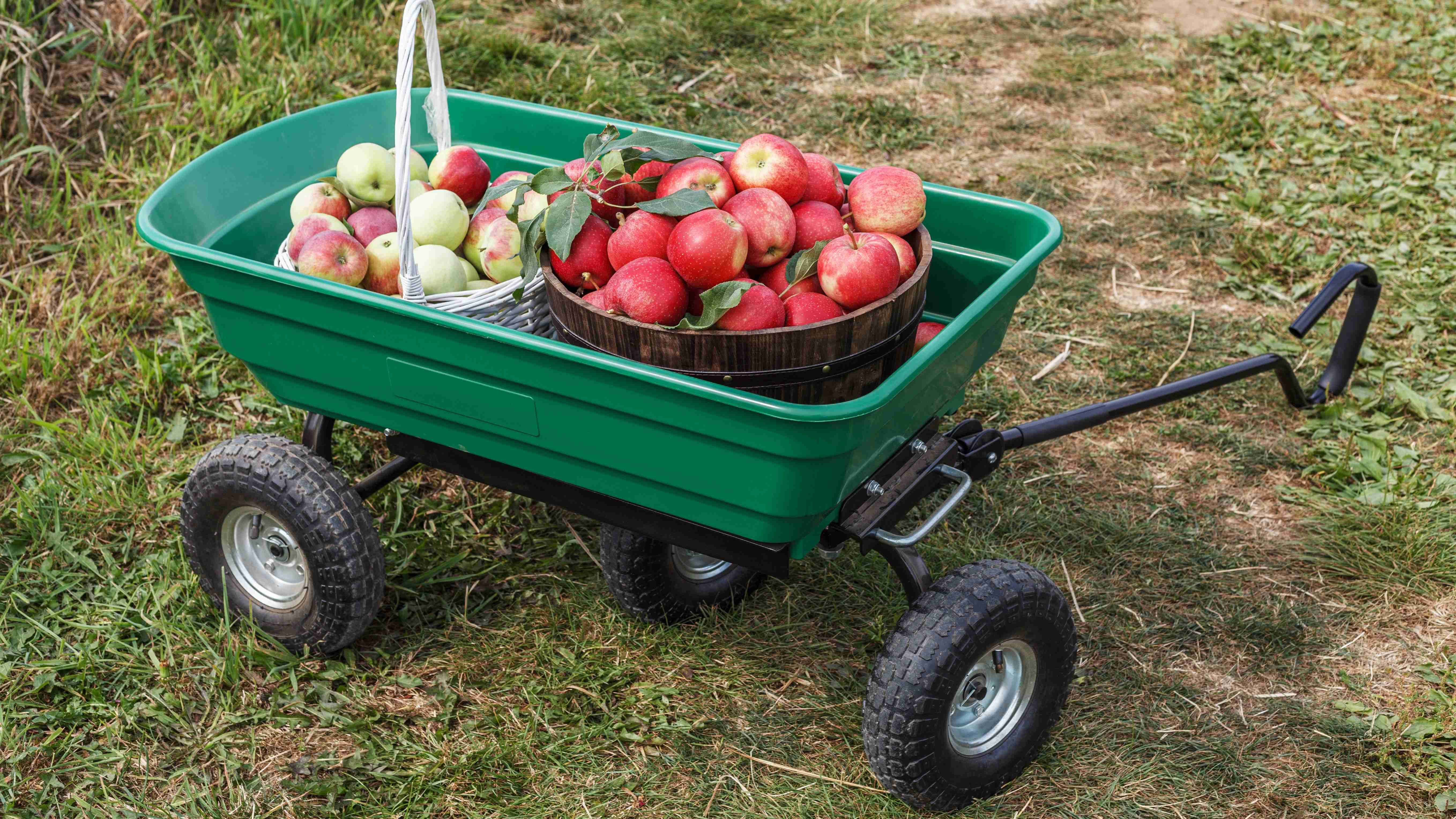 Svuota carrello giardino, carriola.Vecchio carrello metallico su erba  secca. Primavera nel giardino. Stagione primaverile.La pulizia della zona  del giardino, parco. Preparazione del giardino per piantare. Spazio Cope  Foto stock - Alamy