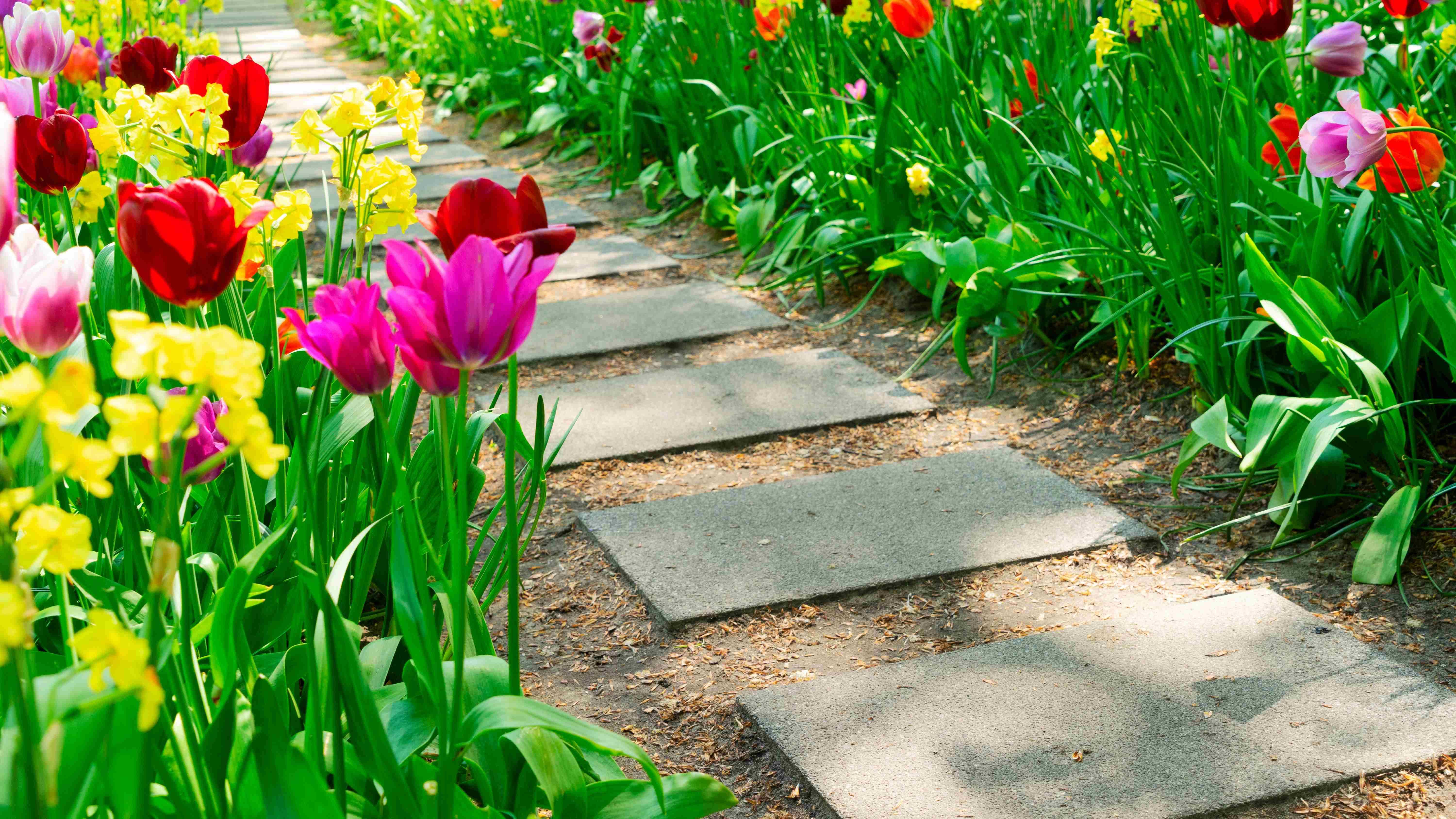 How to lay a garden path