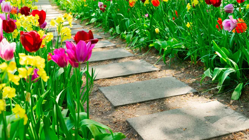 Comment aménager une allée de jardin