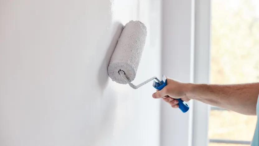 ¿Cómo elegir pintura blanca?