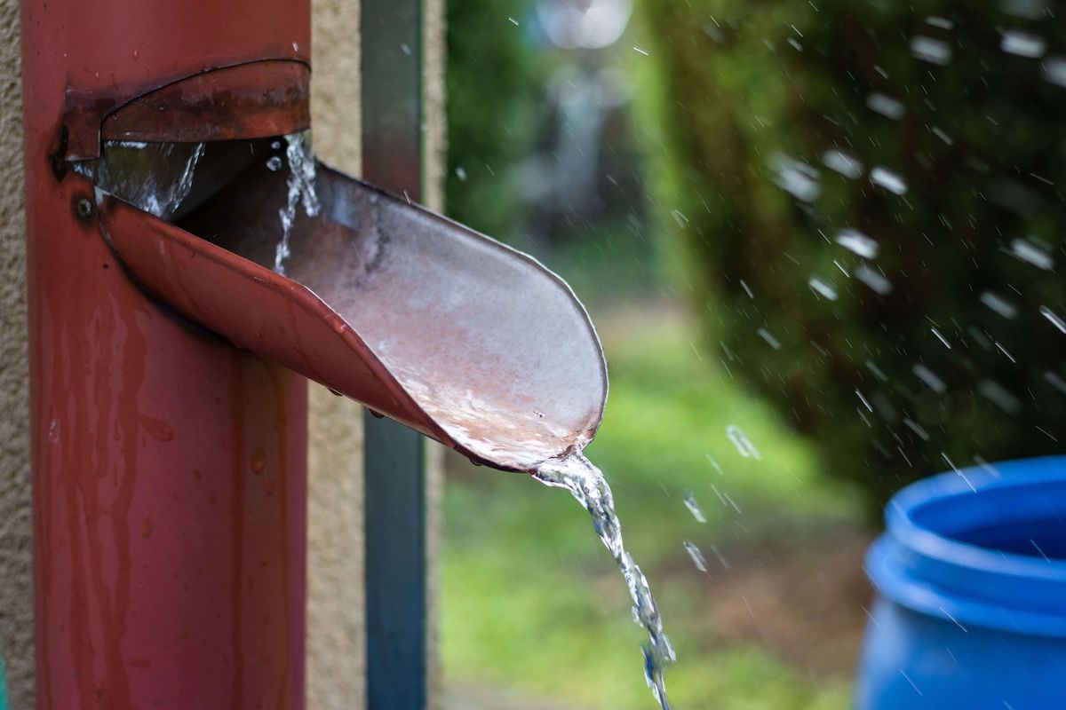 Filtre à eau de pluie grande capacité en mousse naturelle.