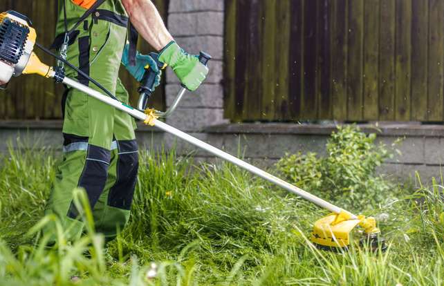 Strimmer and brushcutter buying guide