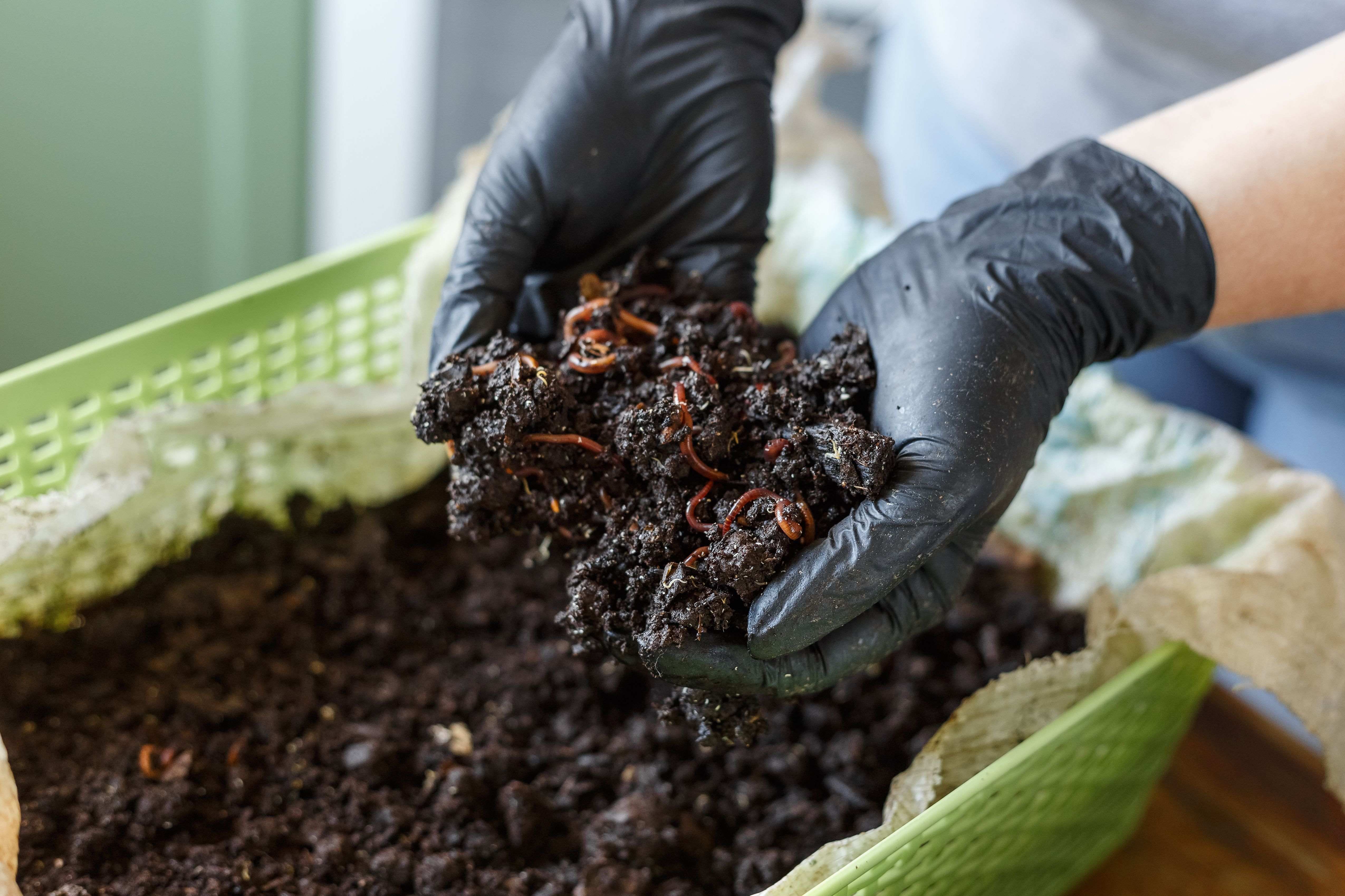 Vermicompost hot sale