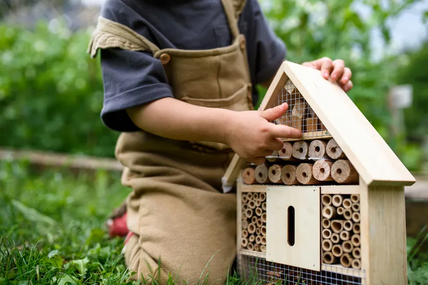 ¿Cómo hacer un hotel de insectos paso a paso?