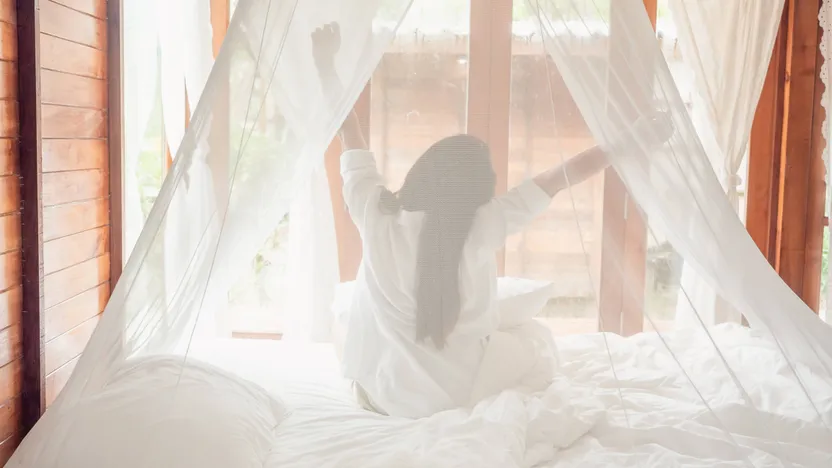 Comment choisir une moustiquaire de lit ?
