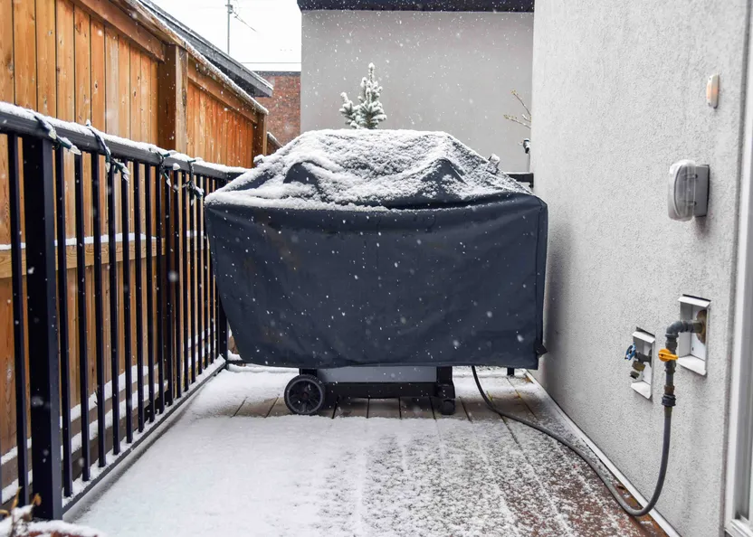 Come scegliere una custodia per barbecue e piastra