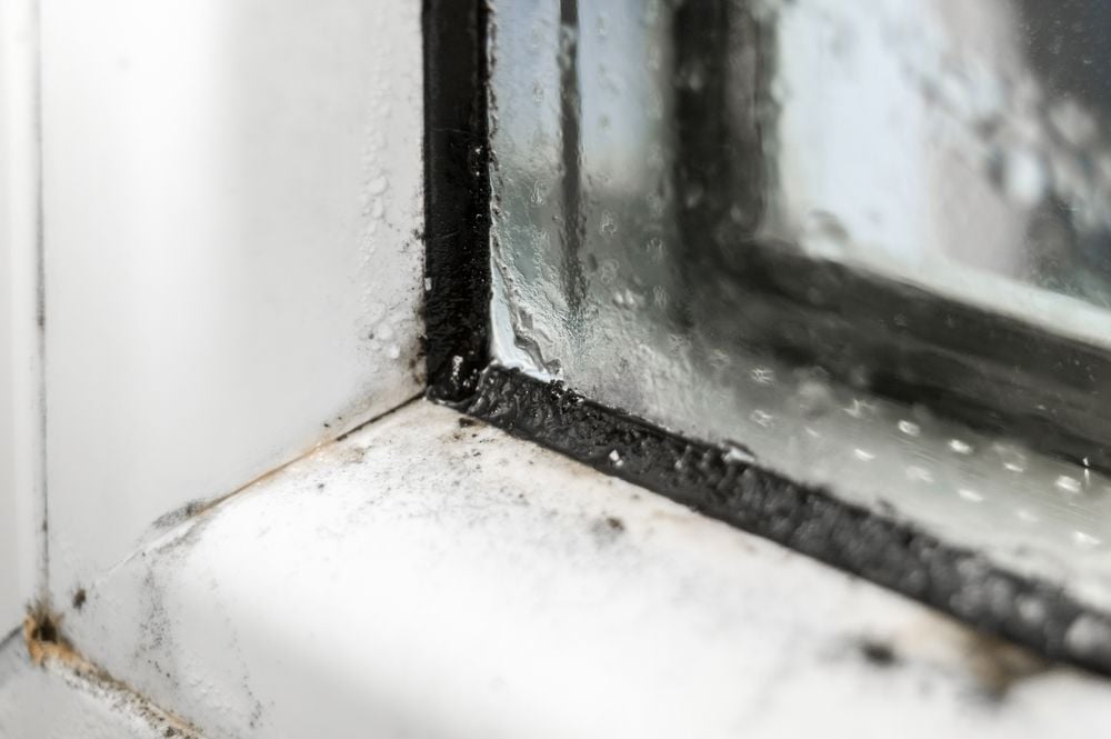 Fensterdichtung tauschen am Kunststoff-Fenster - Anleitung, Tipps