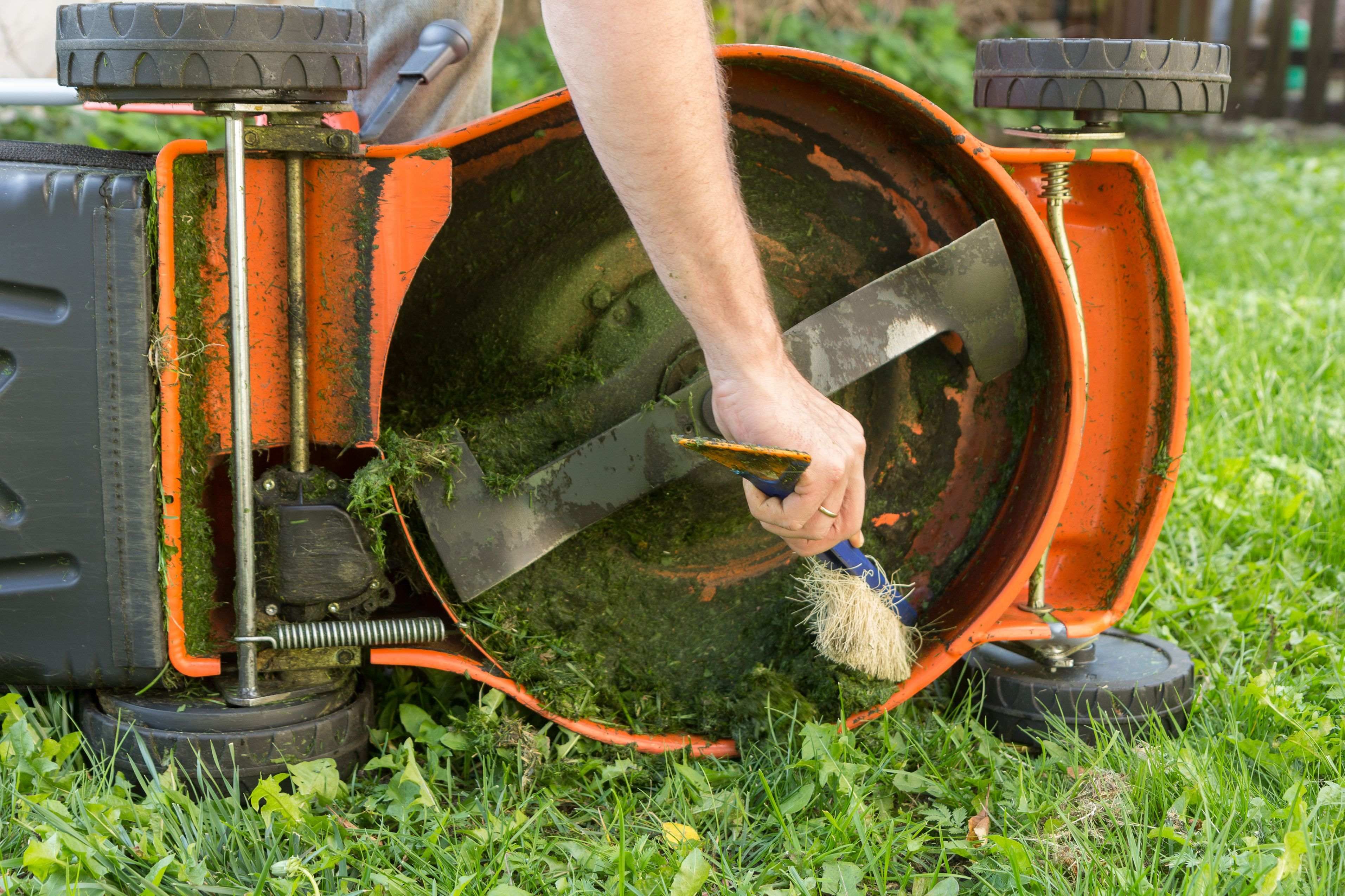 How to maintain your lawnmower