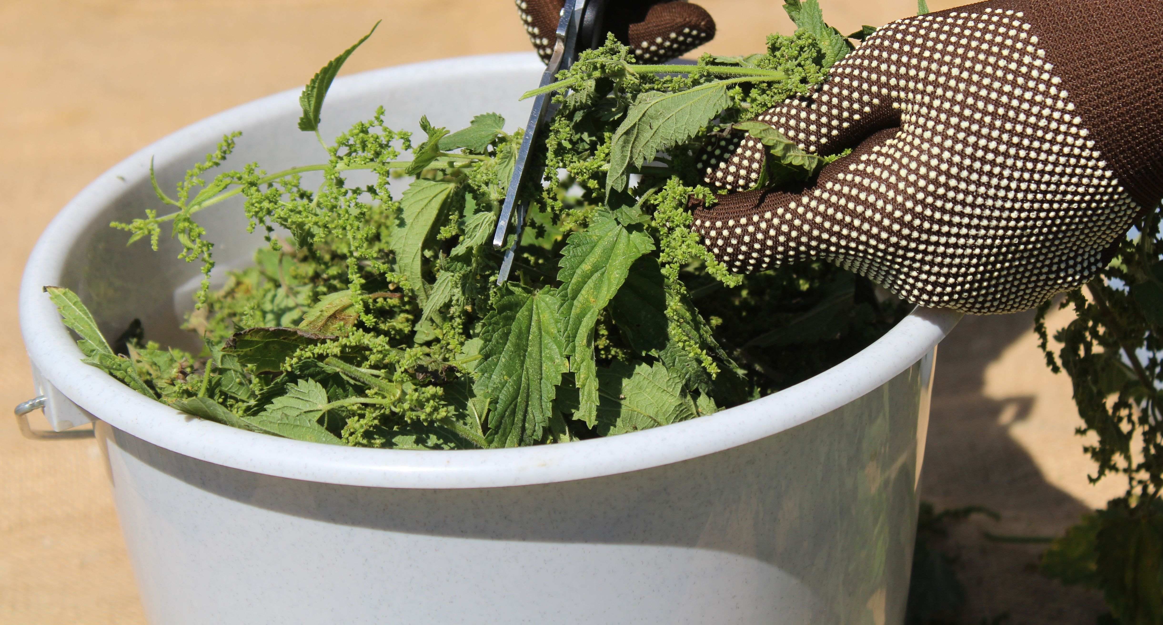 Comment faire ses purins de plantes