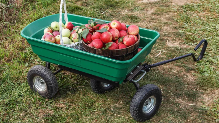 Cómo elegir un carrito de jardín
