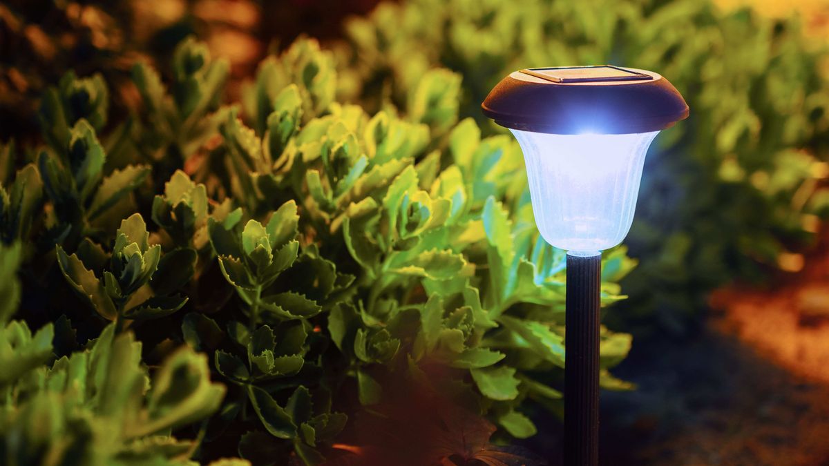 So finden Sie die richtige Solarlampe