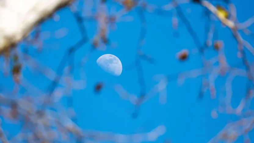 Cómo trabajar en el jardín según el calendario lunar