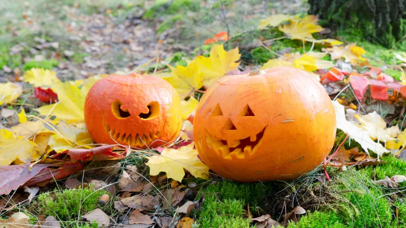 October: your home and garden checklist