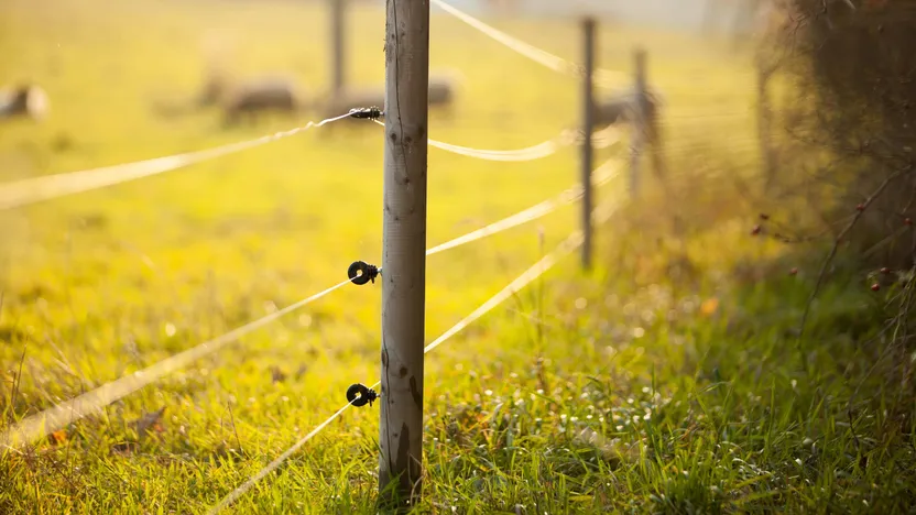 Electric fencing buying guide