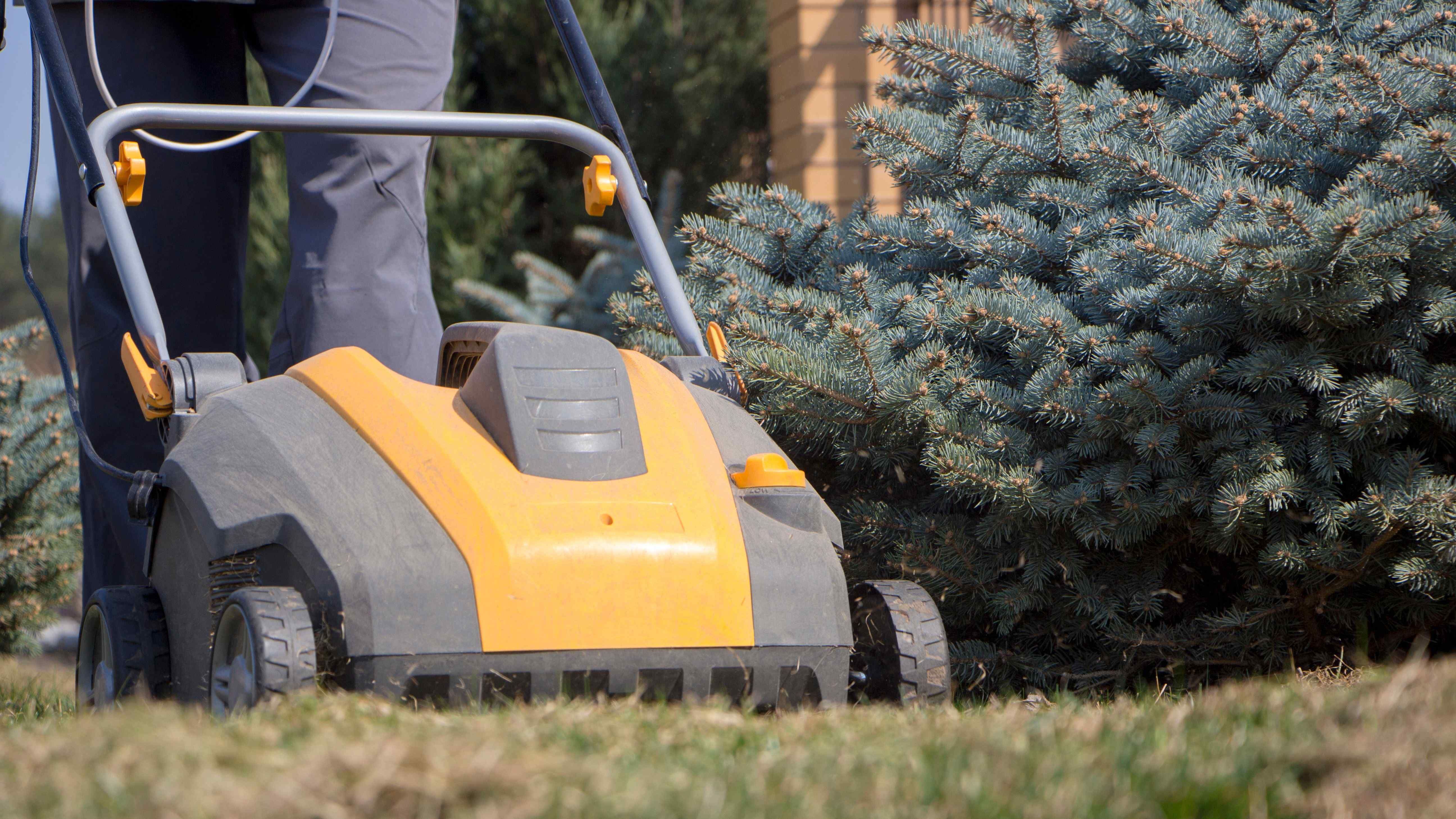 Cheap scarifier on sale