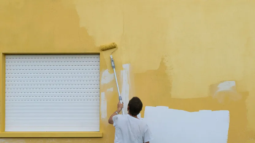 Pliolite-Farbe unter der Lupe
