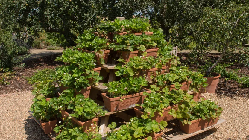 Comment créer une jardinière pyramide