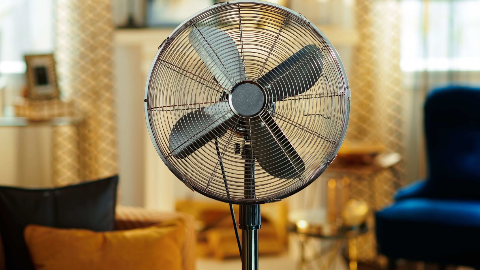 Fan buying guide