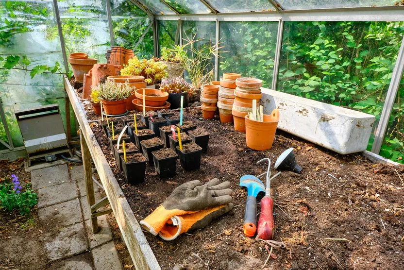 Cómo elegir una mesa de cultivo