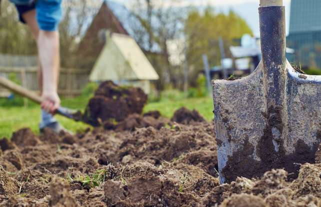 Comment choisir ses outils pour travailler le sol