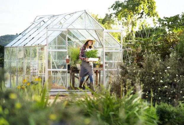Come scegliere una serra da giardino