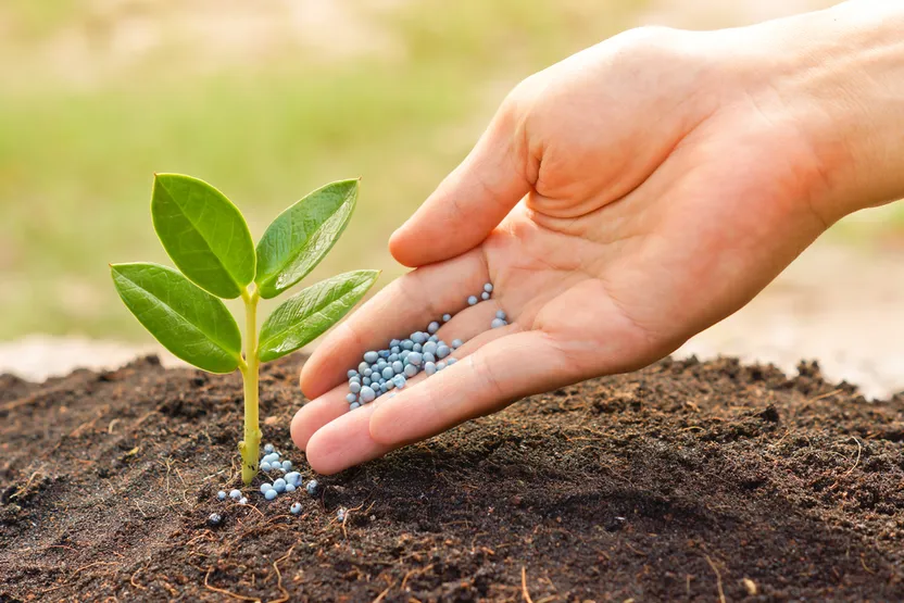 Cómo elegir abonos y fertilizantes para césped