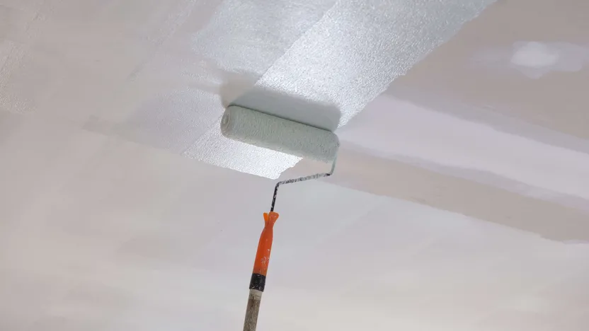 Quelle peinture pour plafond