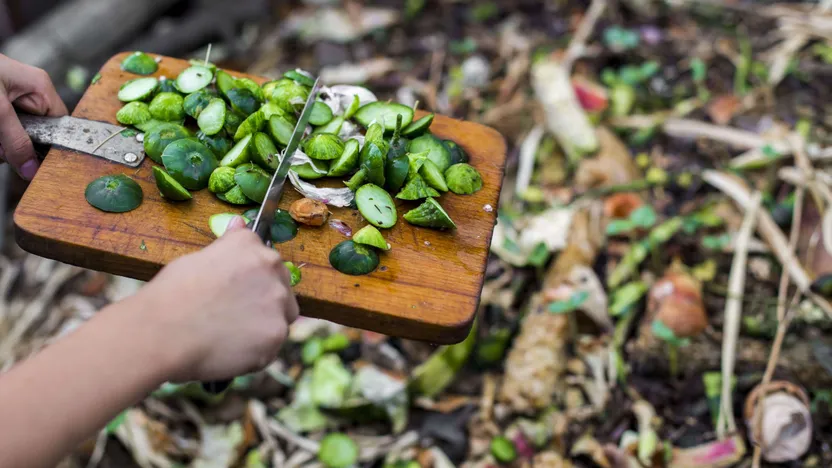 Come fare il compost