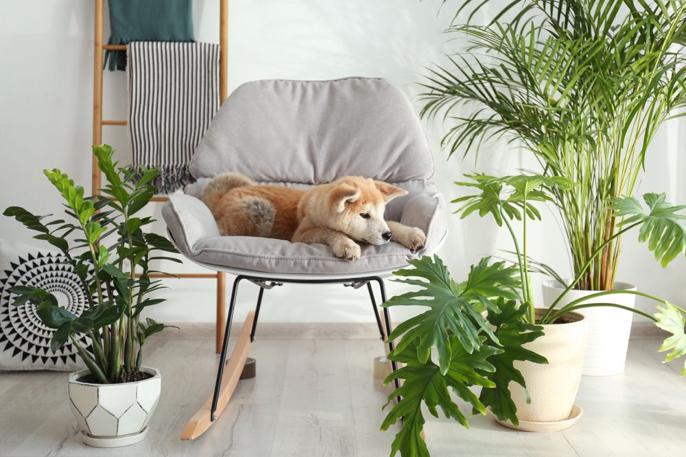 blumenständer wohnzimmer Deko Blumenständer