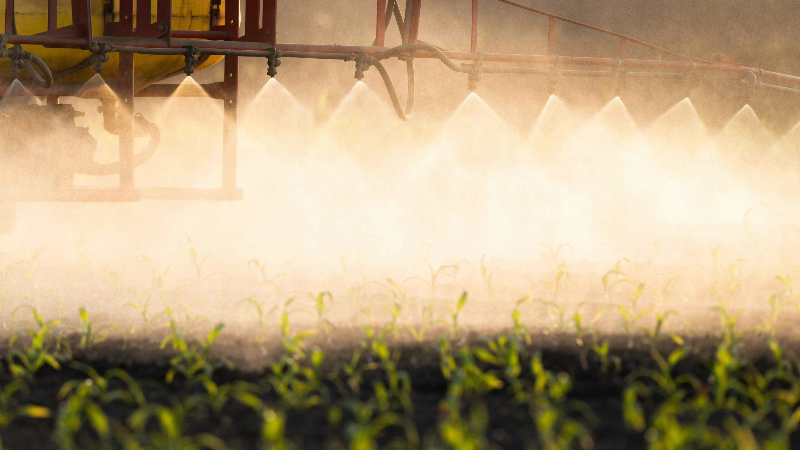 Impacto medioambiental de los fertilizantes, pesticidas y fitosanitarios