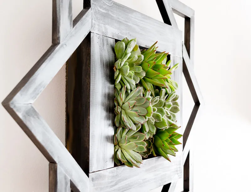 DIY vertical garden