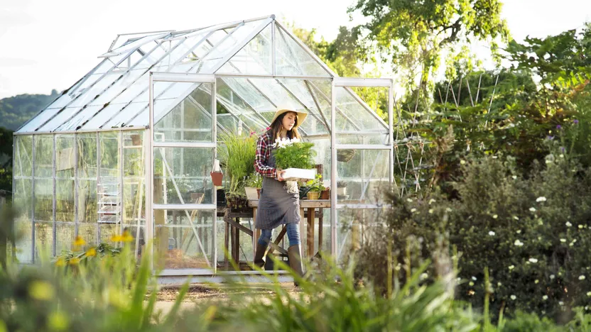 ¿Cómo elegir un invernadero de jardín?