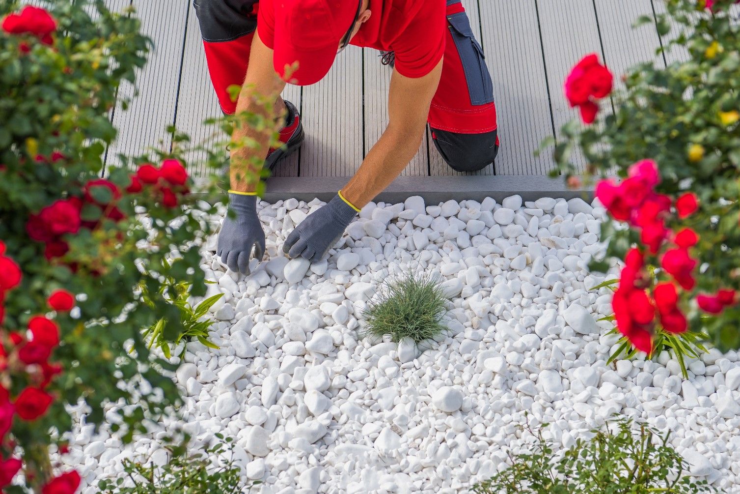 Cómo mantener piedras blancas del jardín: CONSEJOS