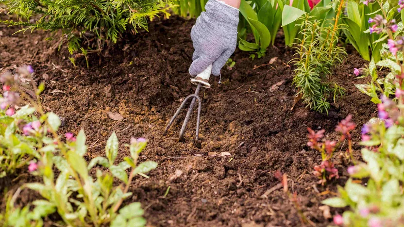 Den Garten für den Frühling vorbereiten: So geht's