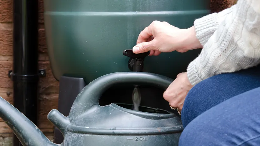 Comment choisir un récupérateur d'eau de pluie