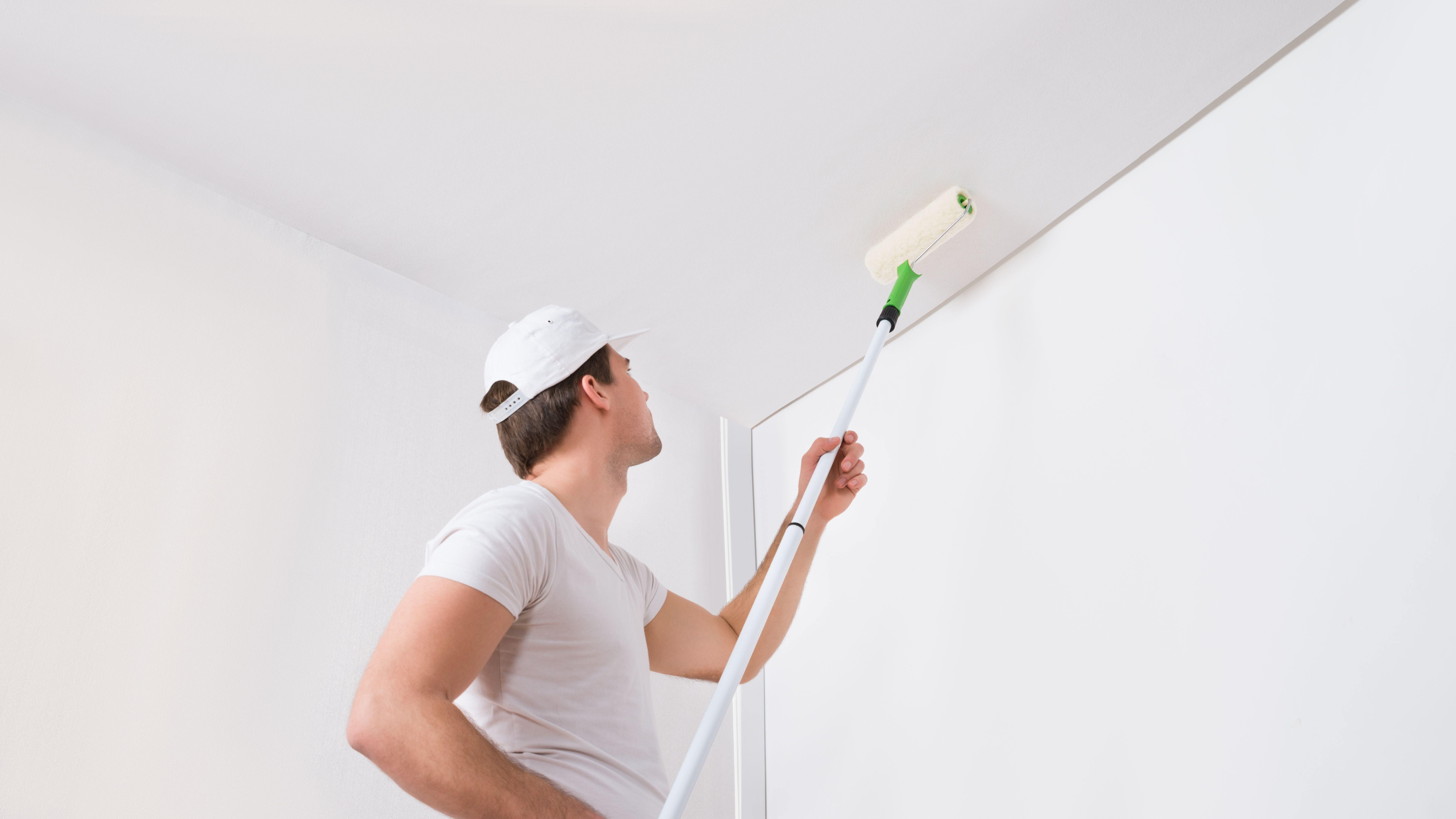 Wall and ceiling paint buying guide