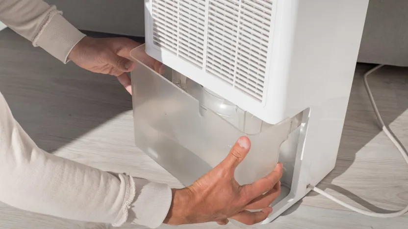 Comment choisir son déshumidificateur d'air