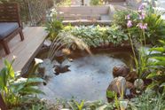 Small Fish Pond Design Ideas